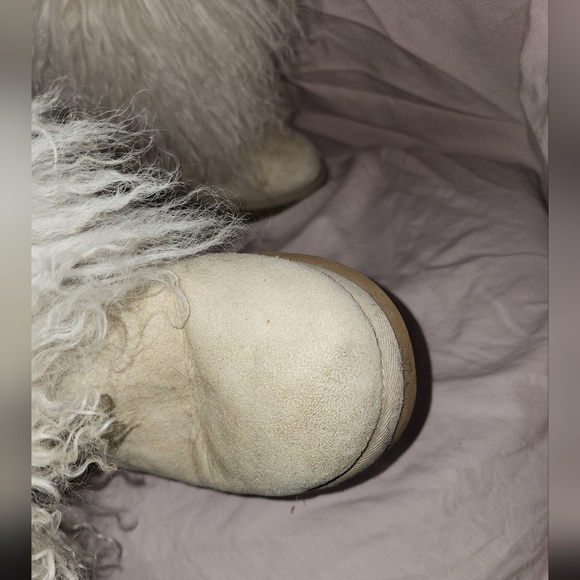 UGG Short Boot Cream Sheepskin Cuff - Picture 12 of 16